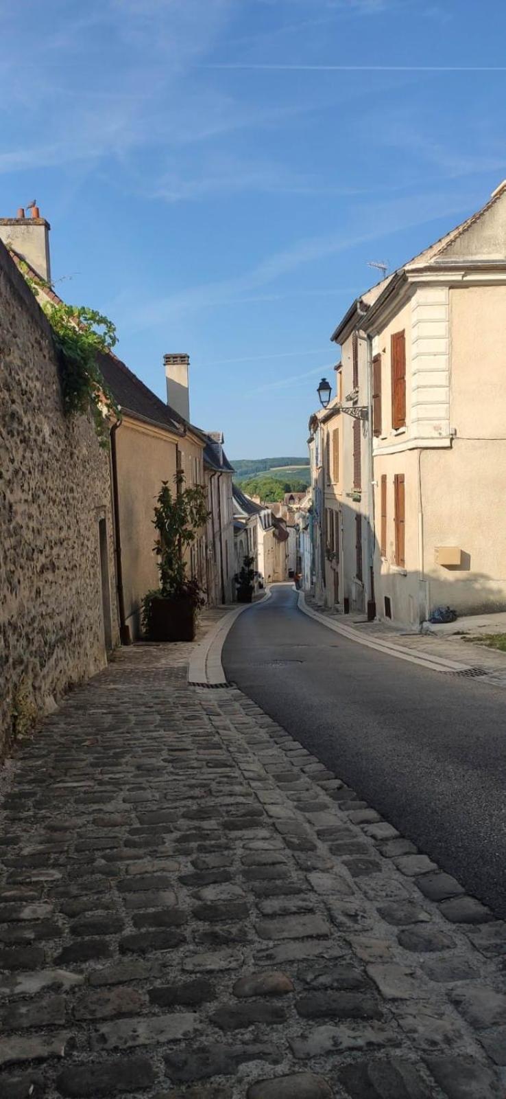 Esope By Kleidos-Ravissant T2 En Plein Centre De Chateau-Thierry Luaran gambar